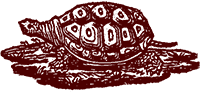 ulk icon