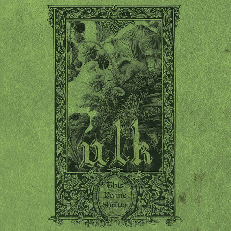 This Divine Shelter cover